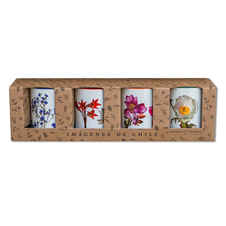 Set de 4 Tazones Flores del Desierto de Atacama N1