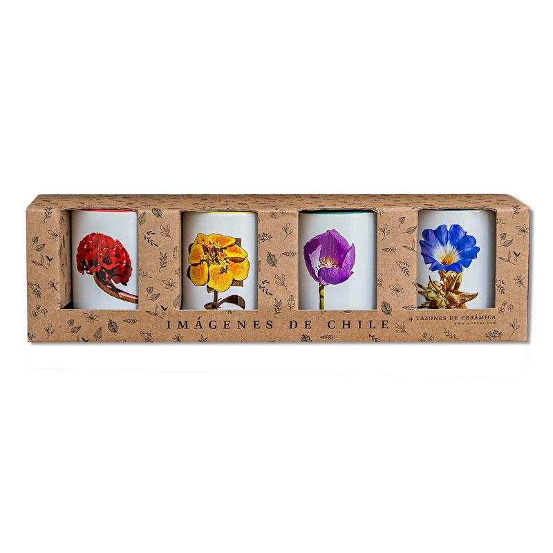 ANDES1 - Set de 4 Tazones Flores del Desierto de Atacama N°2