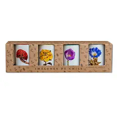 ANDES1 - Set de 4 Tazones Flores del Desierto de Atacama N°2