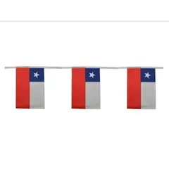 GENERICO - Guirnaldas Banderas Chilenas Fiestas Patrias 20x28 Cm