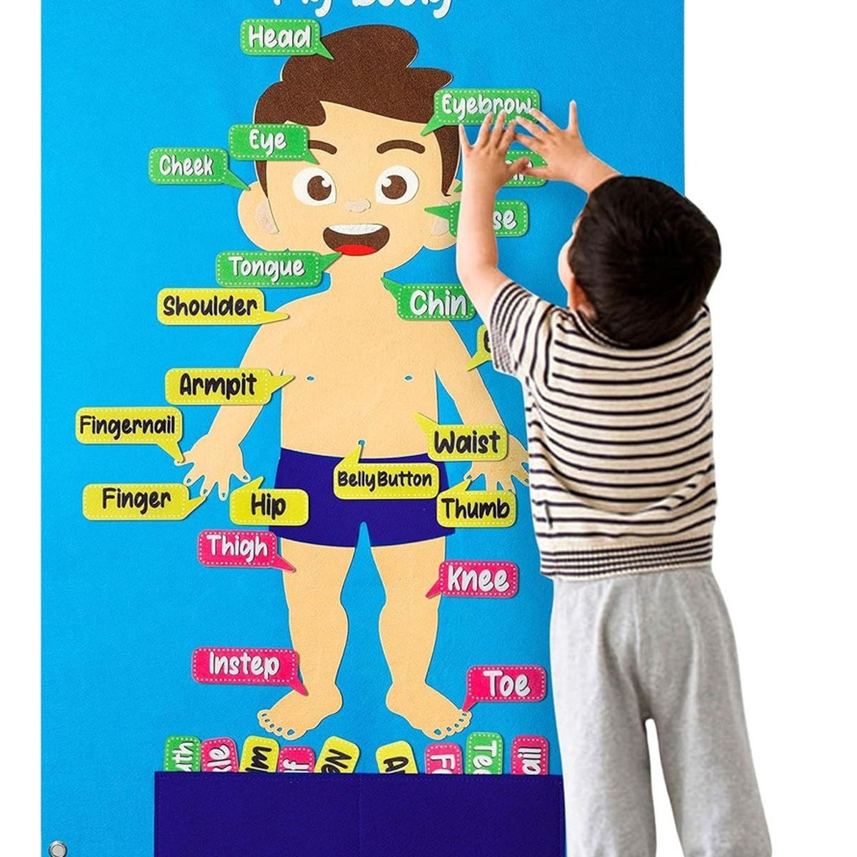 OEM - Juego Puzzle Cuerpo Humano Fieltro Educativo Unico Español