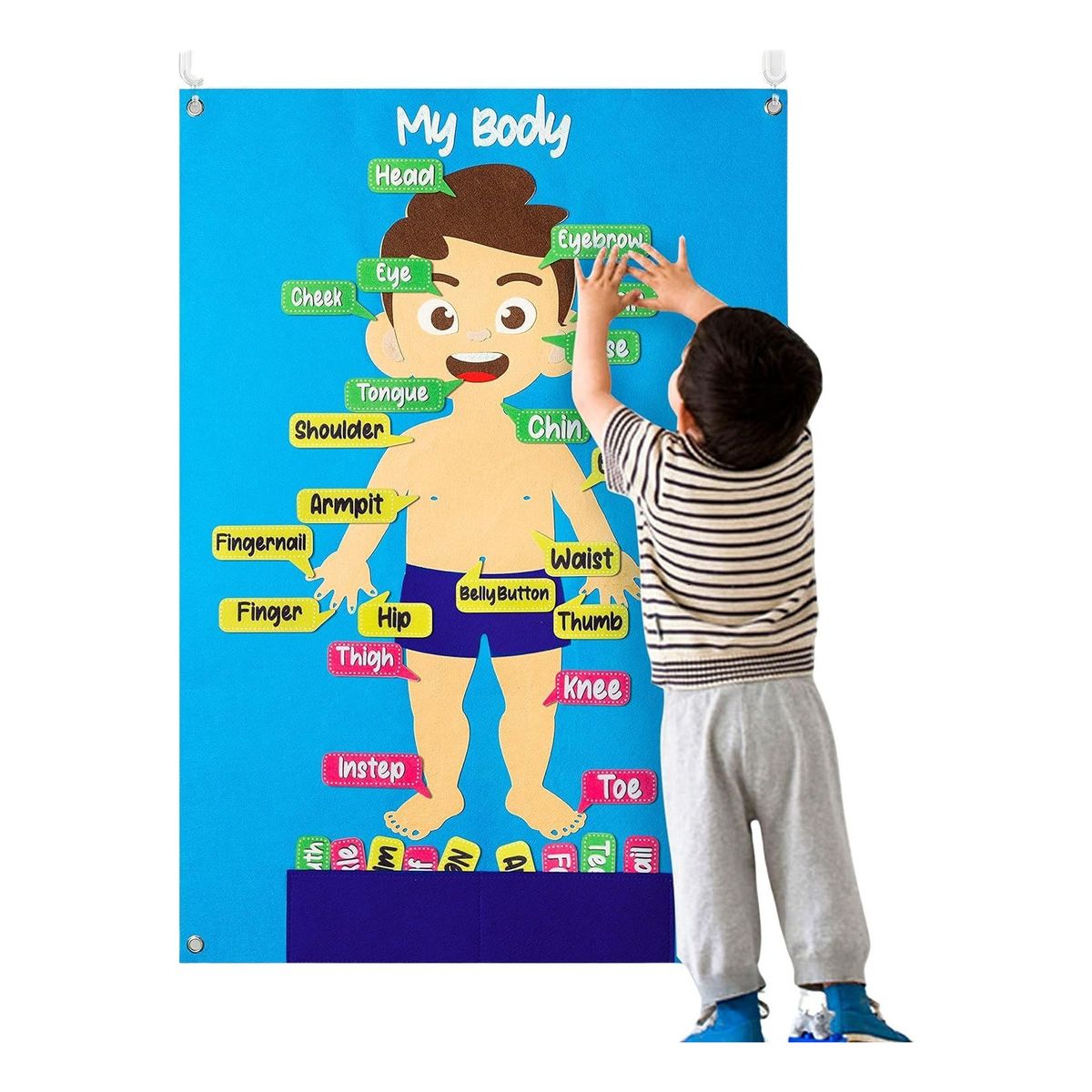 OEM - Juego Puzzle Cuerpo Humano Fieltro Educativo Unico Español