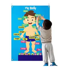 OEM - Juego Puzzle Cuerpo Humano Fieltro Educativo Unico Español