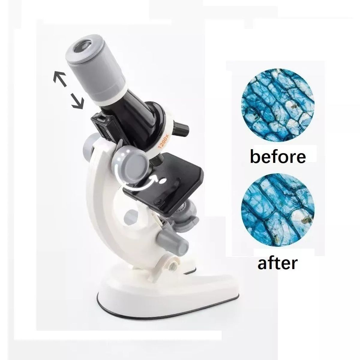 MUNDO MAGIA - Kit Microscopio Compuesto Con Luz 100x A 450x + Accesorios