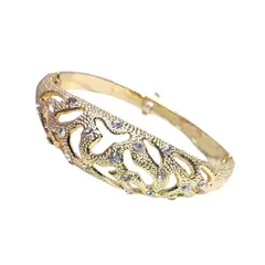 GENERICO - Brazalete Pulsera Joyeria Mujer Elegante Jfp19
