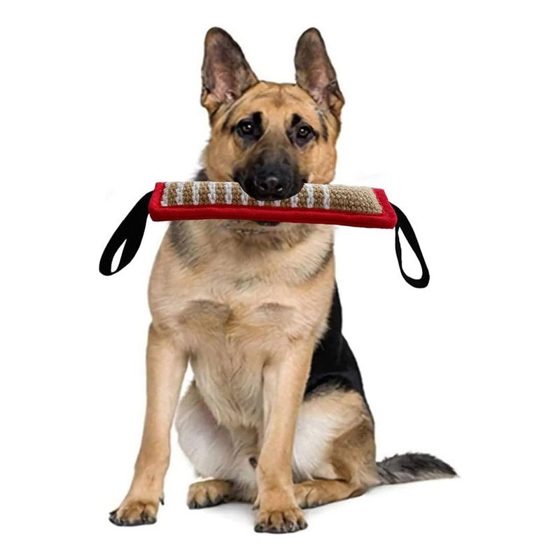 GENERICO - Mordedor Perro Mordedor Yute Mordedor Adiestramiento Perro