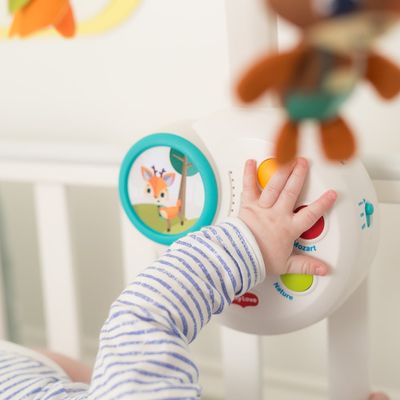 Imagen 2 del producto Movil Classic In To The Forest