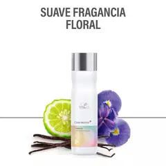 WELLA - Shampoo Color Motion 250 Ml Protección De Color