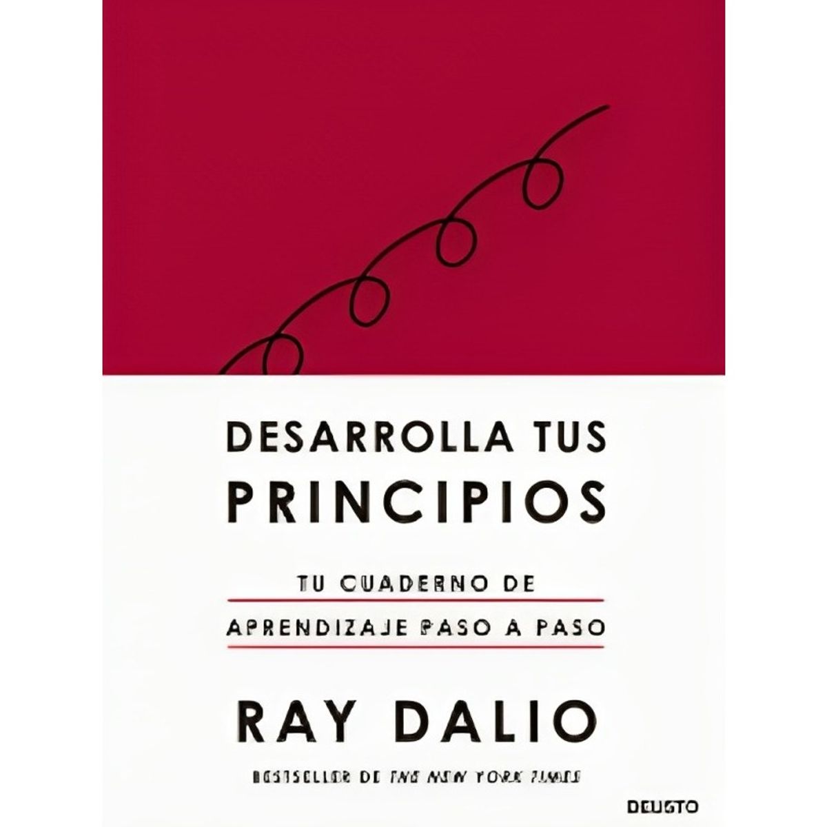 TOP10BOOKS - LIBRO Desarrolla Tus Principios - Desarrolla Tus Principios