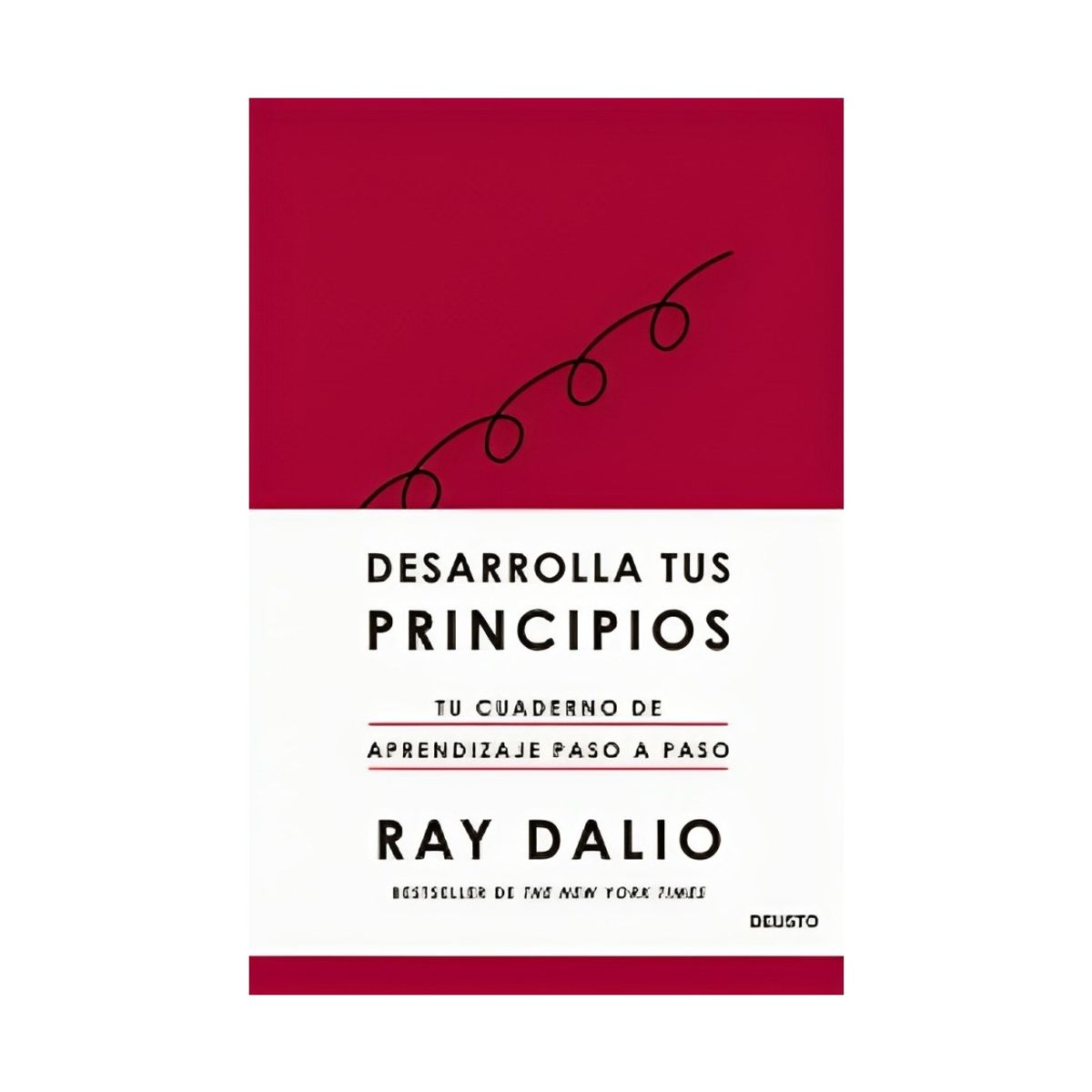 TOP10BOOKS - LIBRO Desarrolla Tus Principios - Desarrolla Tus Principios