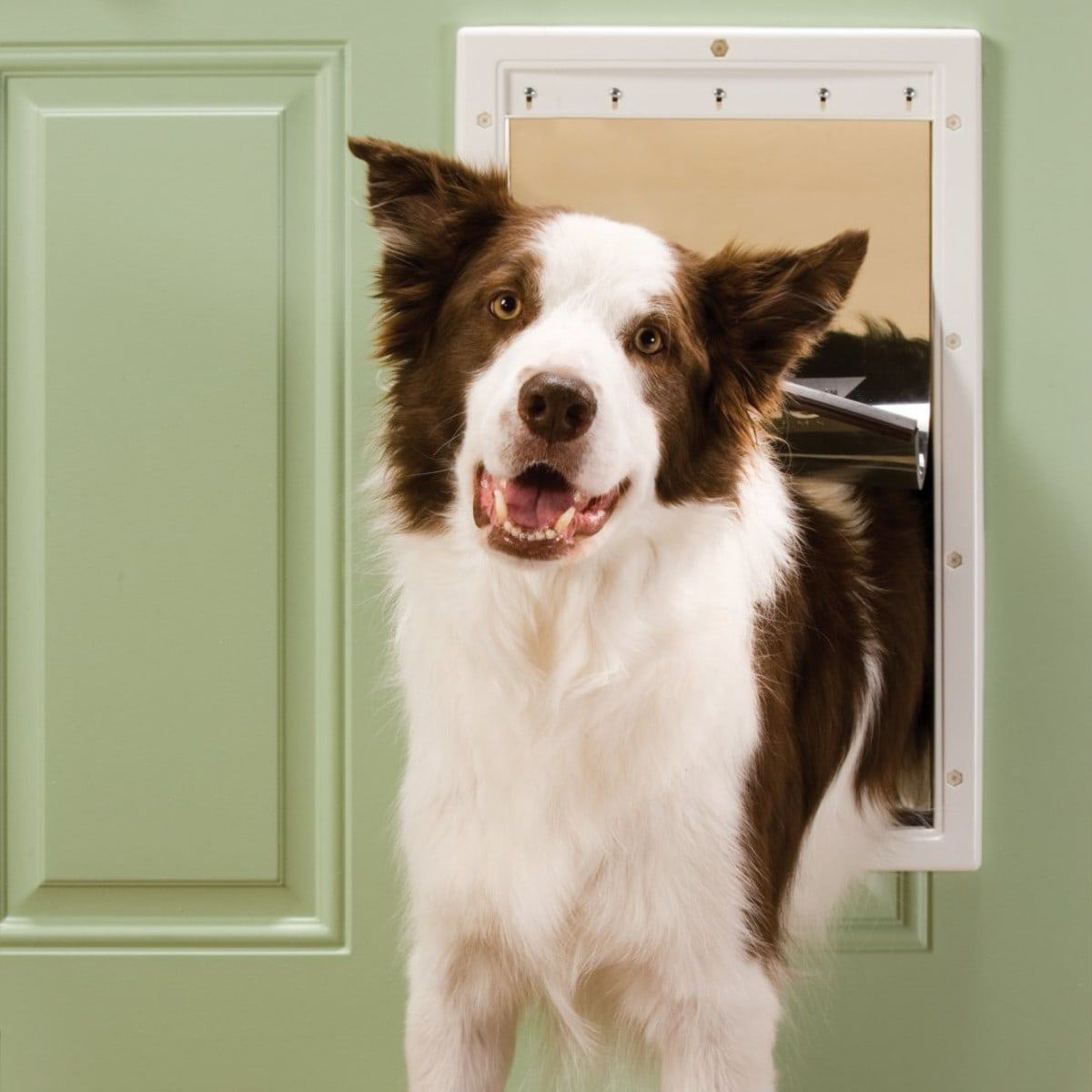 PET SAFE - Puerta para Perros Grande Marca PetSafe Color Blanco