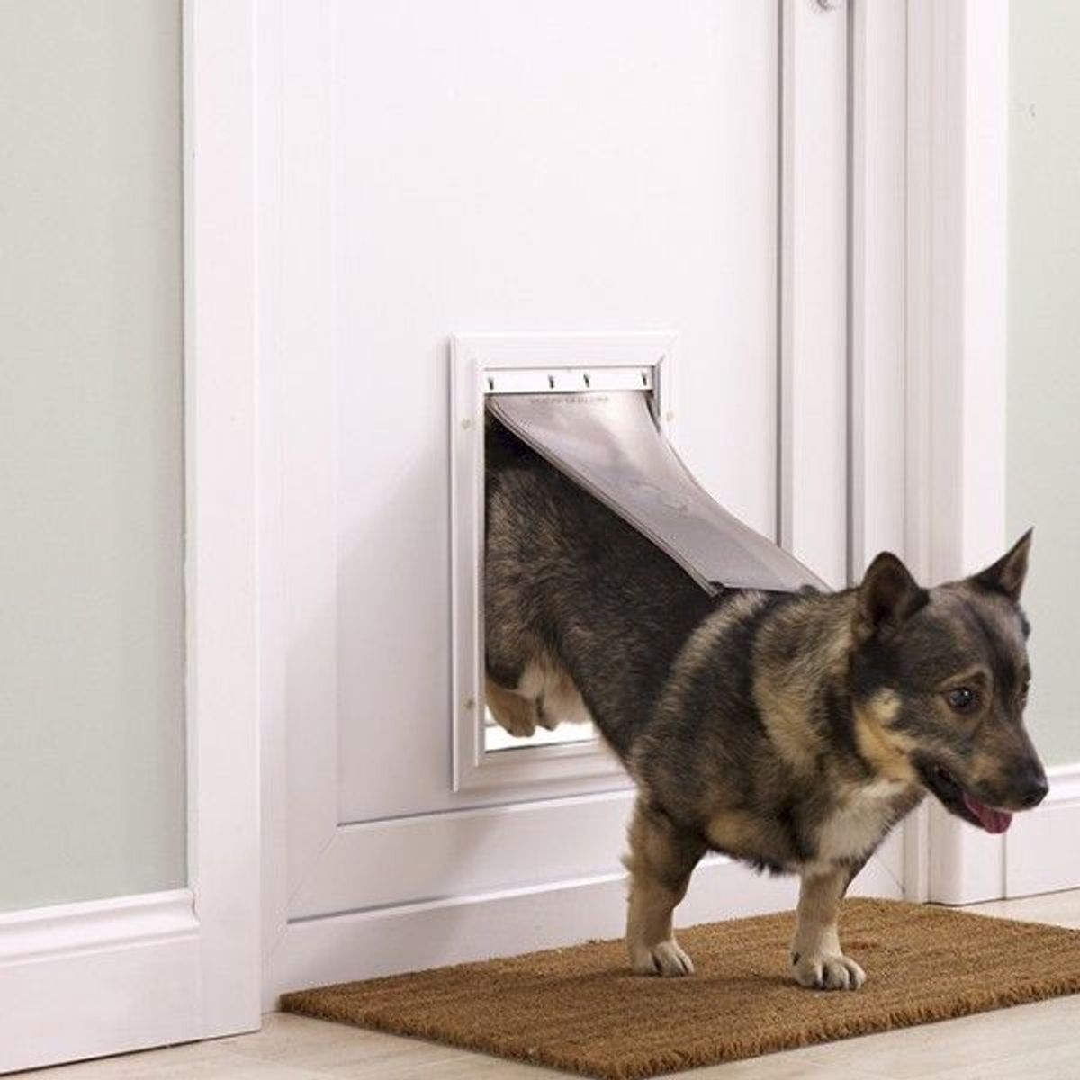 PET SAFE - Puerta para Perros Mediana Marca PetSafe Color Blanco