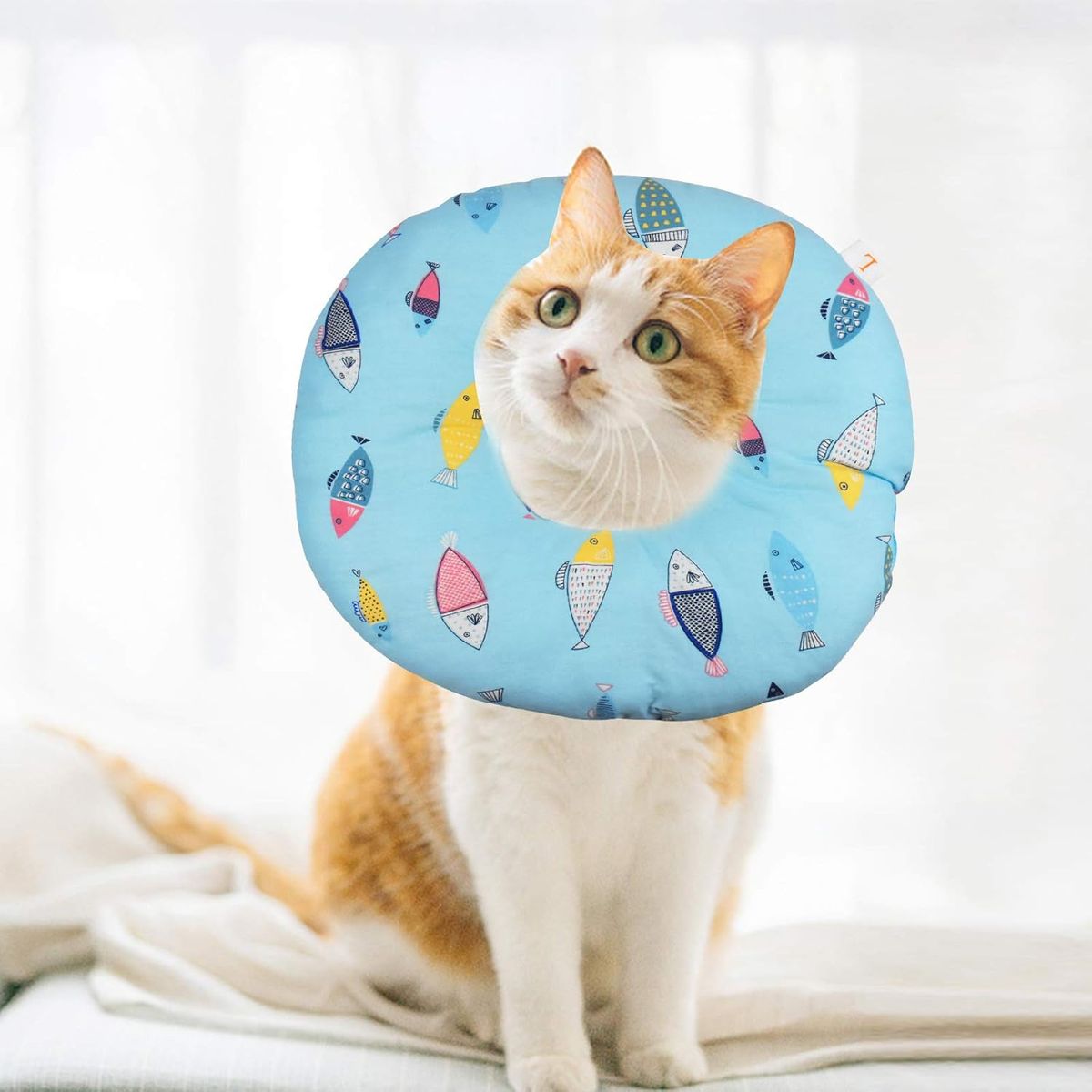 GENERICO - Collar isabelino de tela para mascota Talla S diseño PESCADO