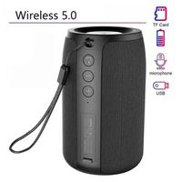 Parlante Inalámbrico Modelo SK10