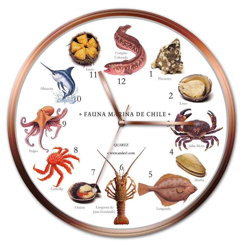 ANDES1 - Reloj Fauna Marina Chilena