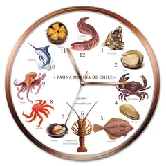 ANDES1 - Reloj Fauna Marina Chilena