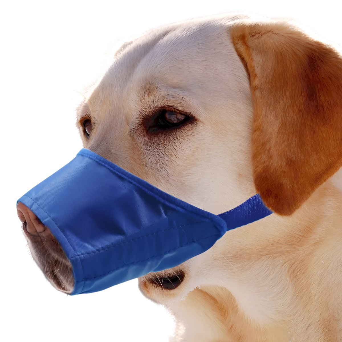 GENERICO - Bozal De Entrenamiento Para Perros Bozal Para Perros Talla 5