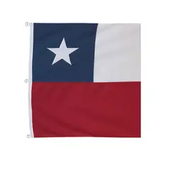 GENERICO - Bandera Chilena De Tela Poliéster Impresa 90x145 Cms