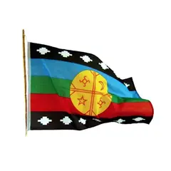 GENERICO - Bandera Mapuche Grande 180 X 120cms, Exclusiva