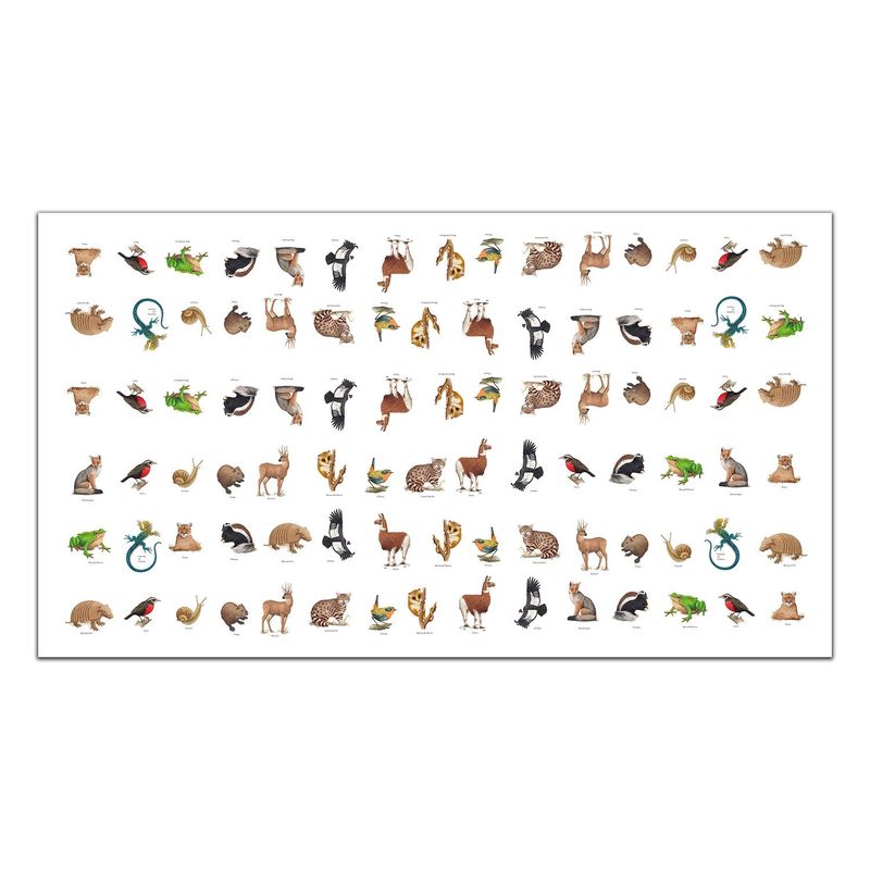 ANDES1 - Mantel antimanchas Fauna Chilena