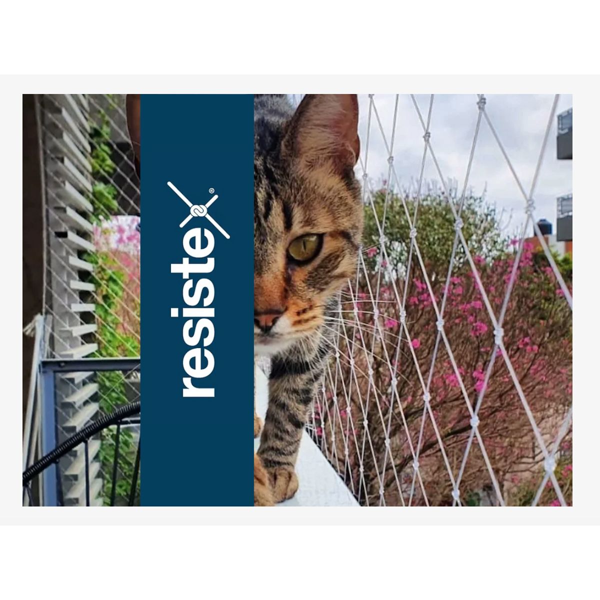 RESISTEX - Malla Seguridad Balcón 2 Mts x 6 Mts Grosor 06mm Transparente