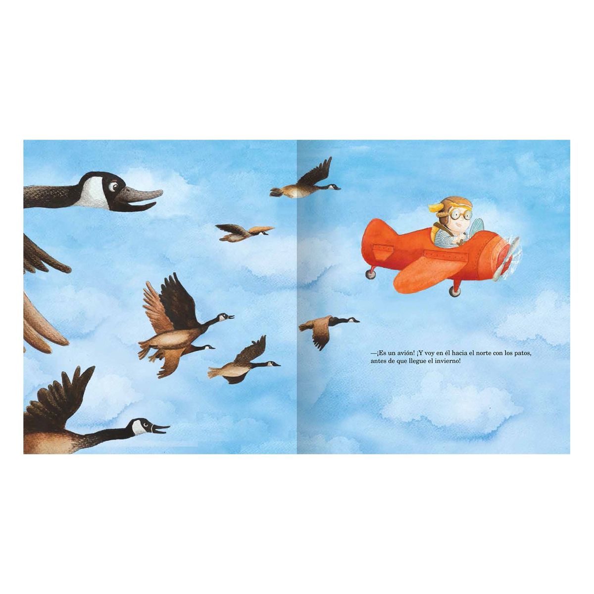 CATAPULTA EDITORES - LIBRO Este No Es Un Ilustrado