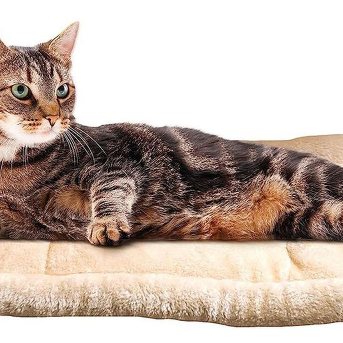 IMPORTCLICK - Cama Mascotas Túnel Gatos Lavable 2 En 1 - Naranjo Pálido