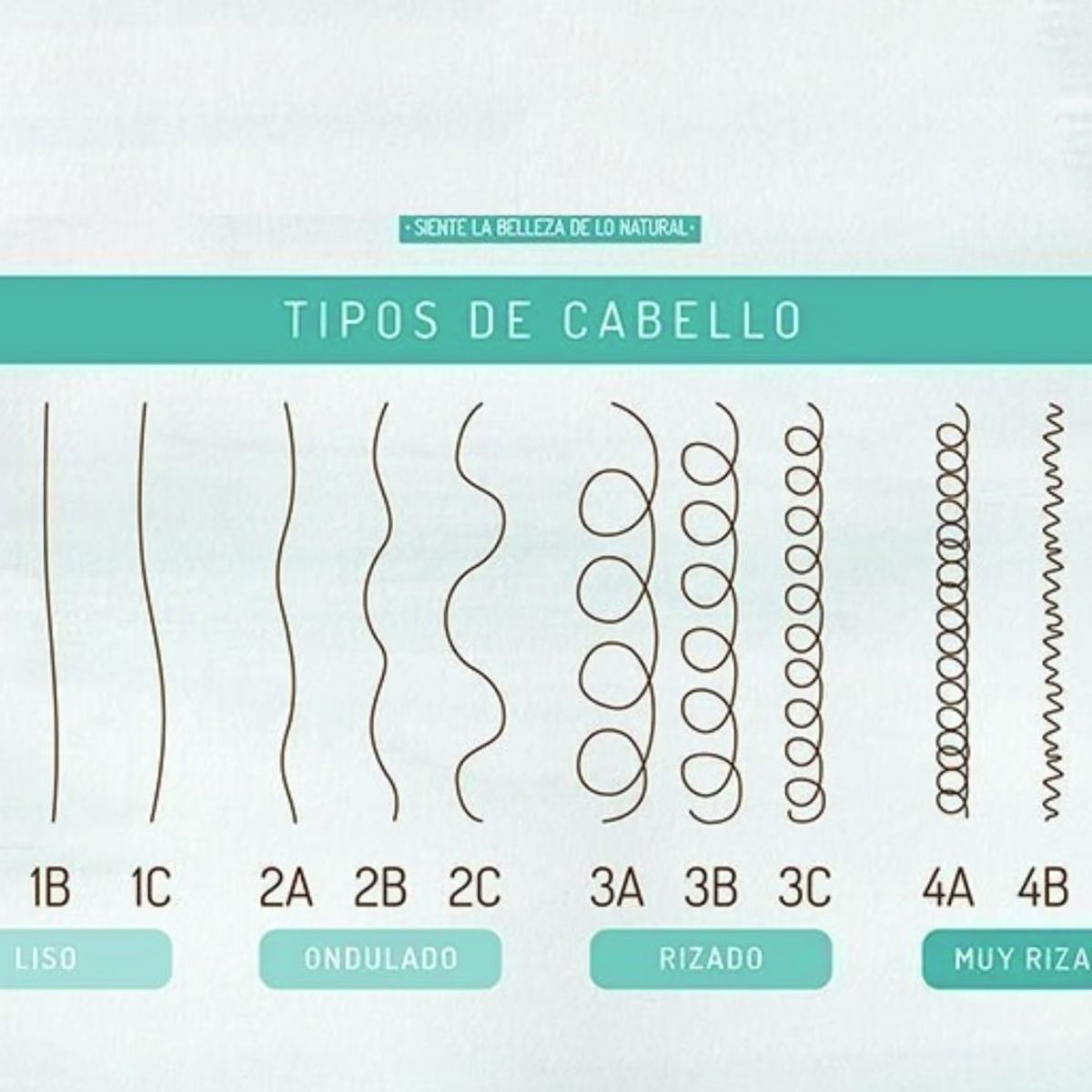 ETNIKER - TRATAMIENTO CAPILAR AFRO AND CURLY ETNIKER PACIFICO 4 EN 1 DE 1000GR