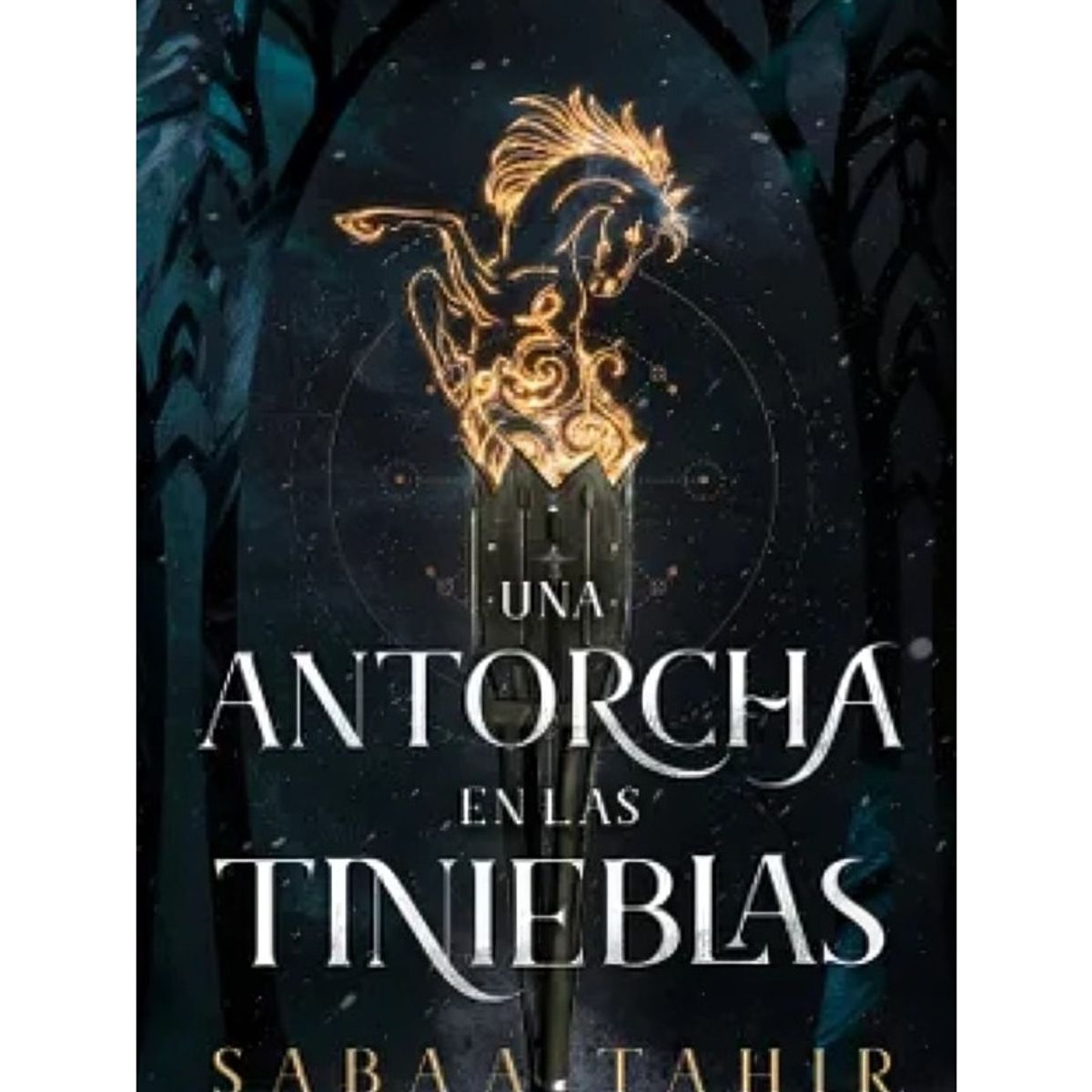 TOP10BOOKS - LIBRO Una Antorcha En Las Tinieblas - Una Antorcha En Las Tinieblas
