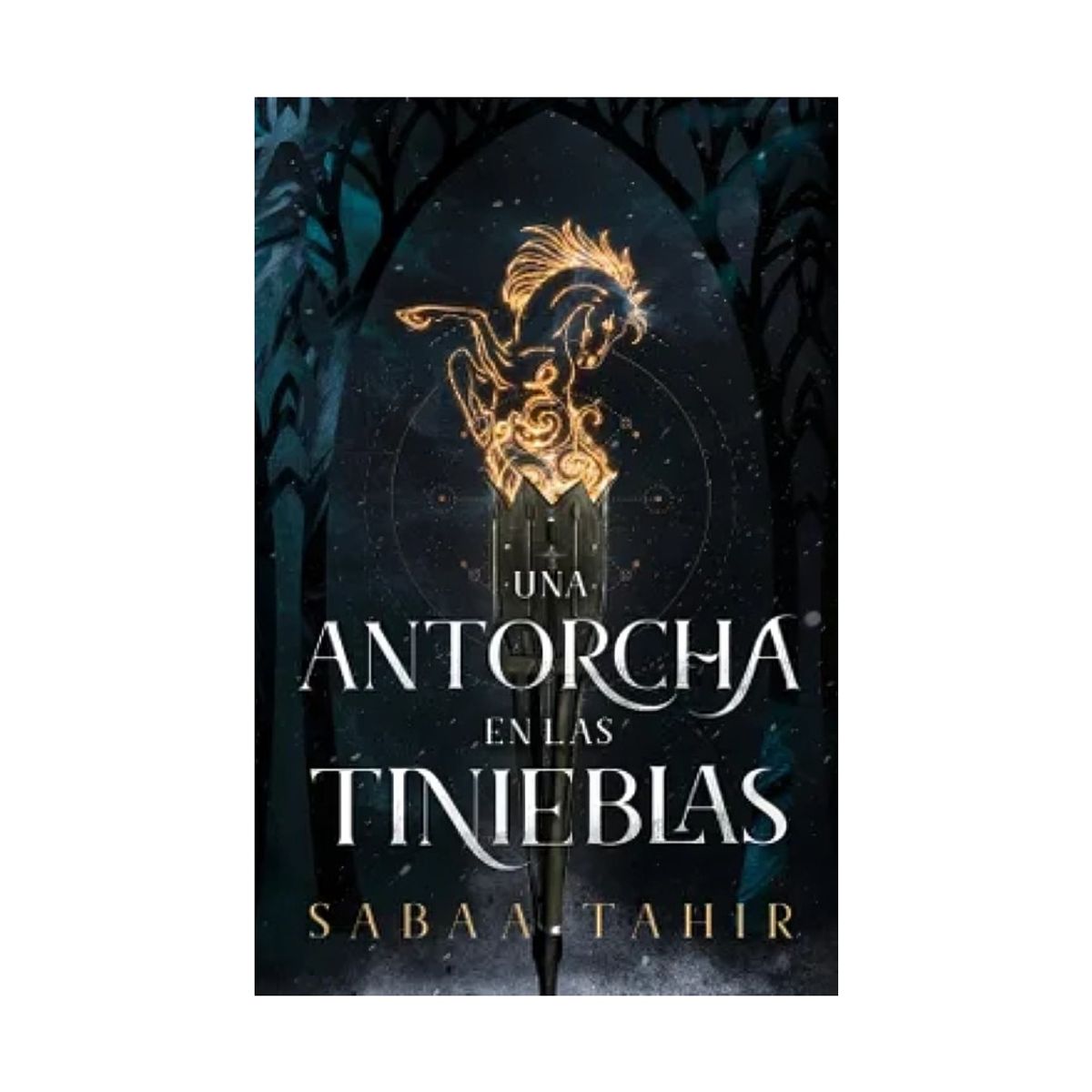 TOP10BOOKS - LIBRO Una Antorcha En Las Tinieblas - Una Antorcha En Las Tinieblas