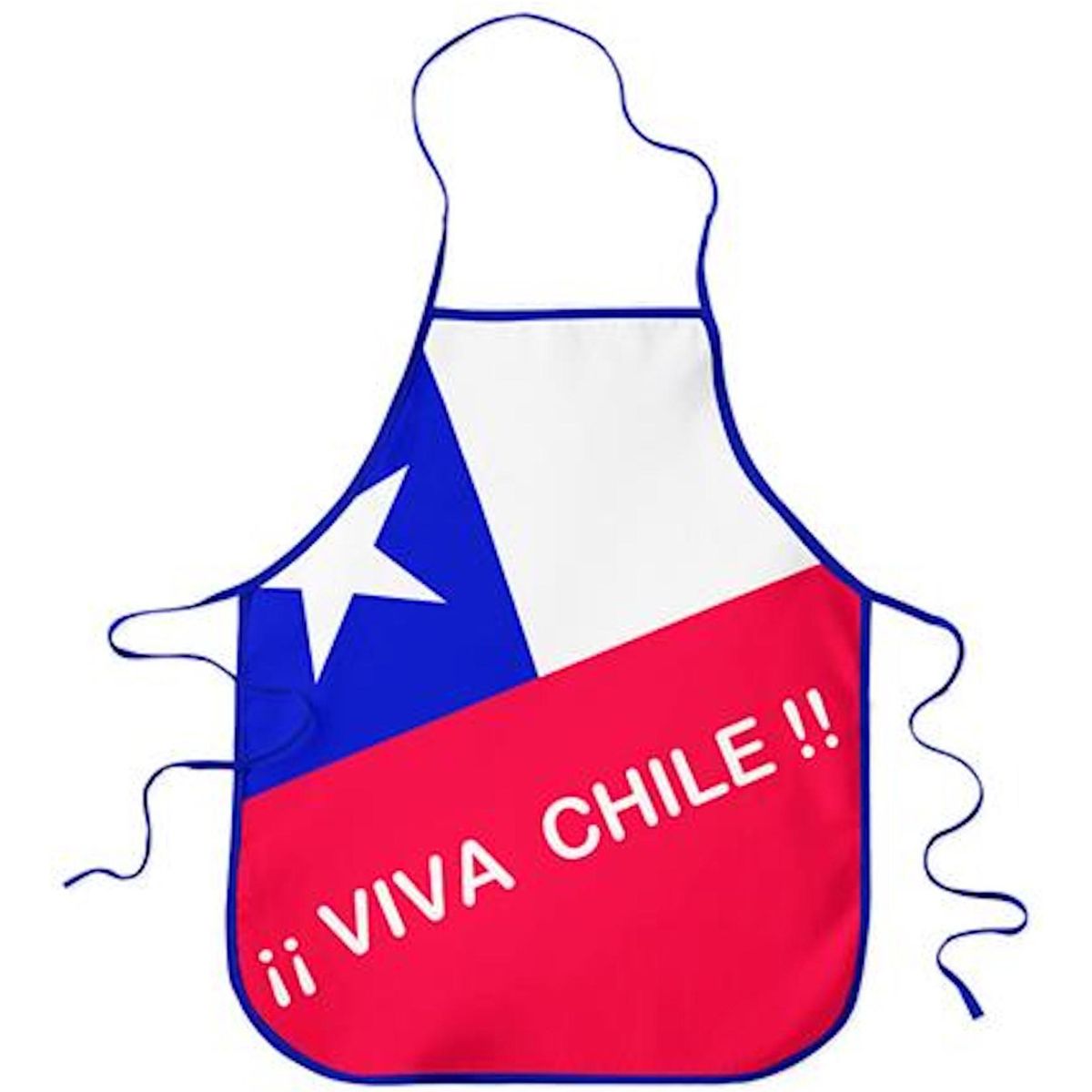 GENERICO - Pack 10 Delantal Pechera Fiestas Patrias Viva Chile