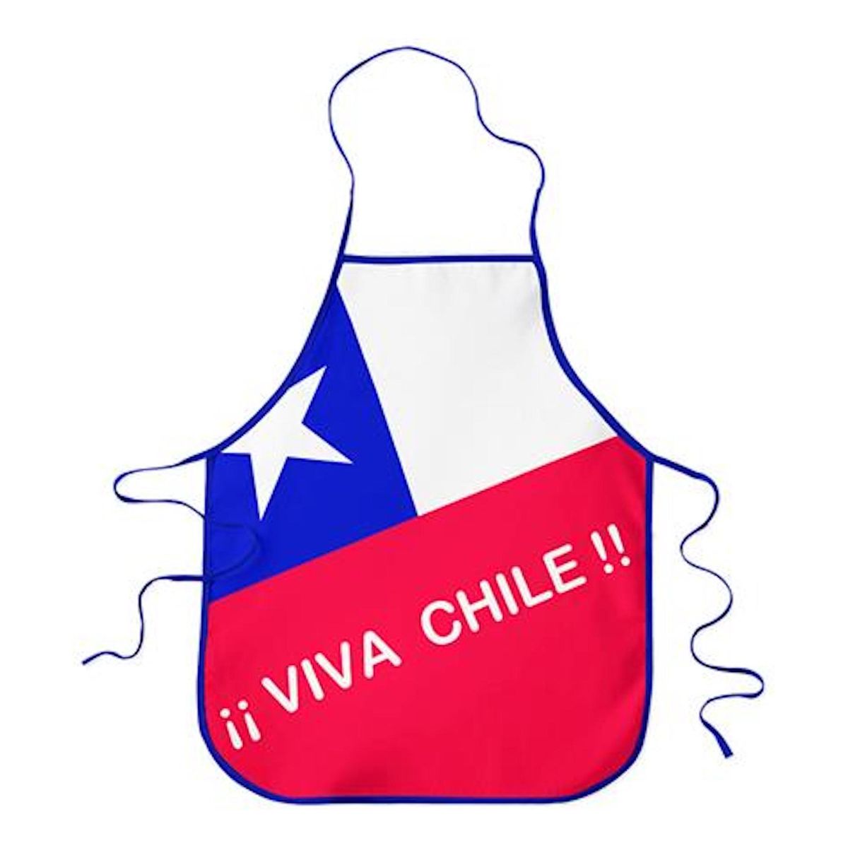 GENERICO - Pack 10 Delantal Pechera Fiestas Patrias Viva Chile