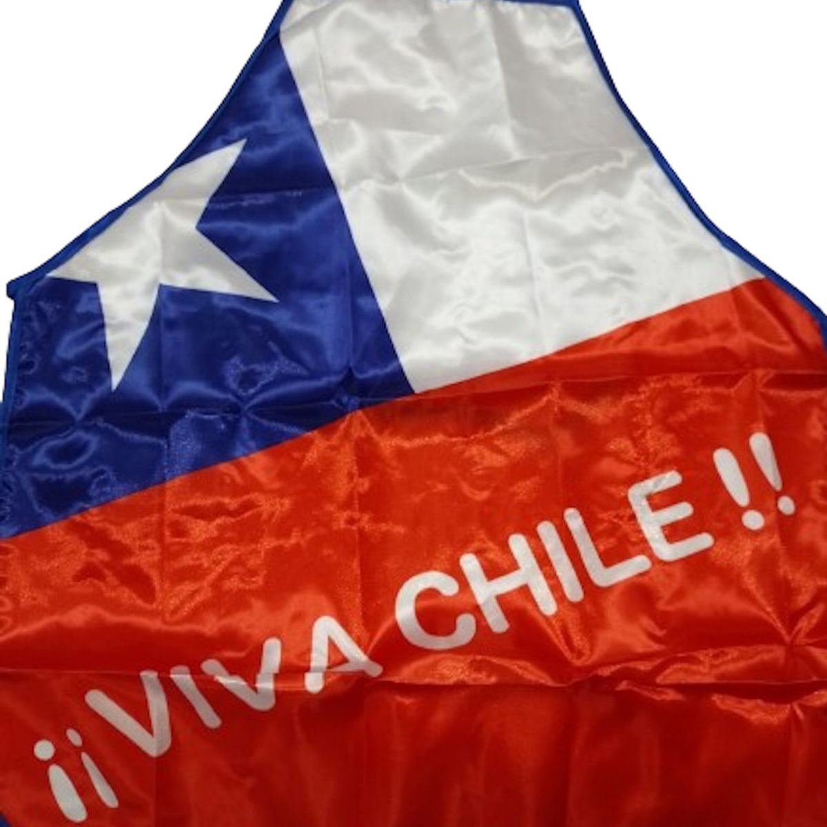 GENERICO - Pack 10 Delantal Pechera Fiestas Patrias Viva Chile