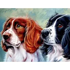 GENERICO - Kit Diamond Painting Pintura De Diamante - Perros Cod23