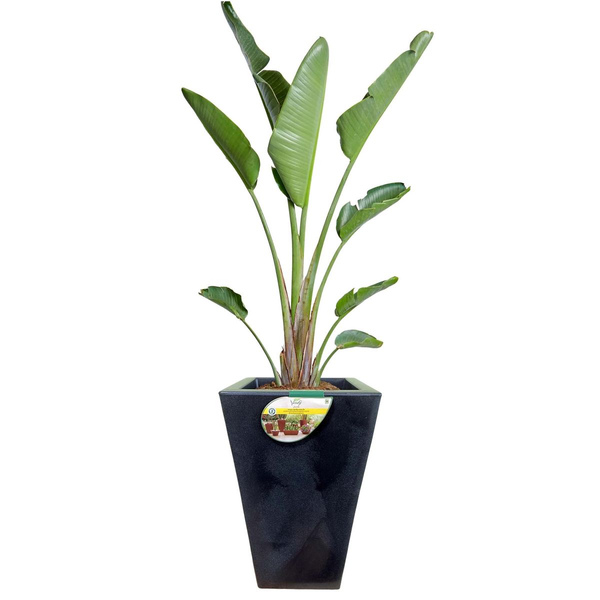 VERDY - Maceta Joinville Trapecio 19x40cms Negro Efecto Marmoleado.