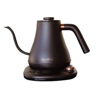 Hervidor Eléctrico con Control de Temperatura Swan Negro