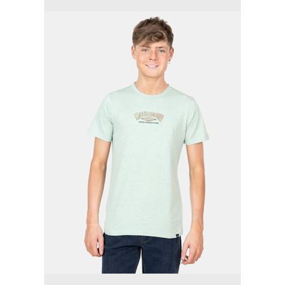 Imagen 2 del producto Polera MC Surfing Island Verde Infantil