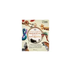 SALAMANDRA - Animales Fantasticos. Maravillas De La Naturaleza 9788418637056
