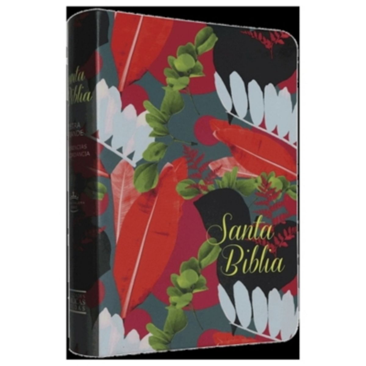 ANTARTICA LIBROS - Biblia RVRO65 CB Colores