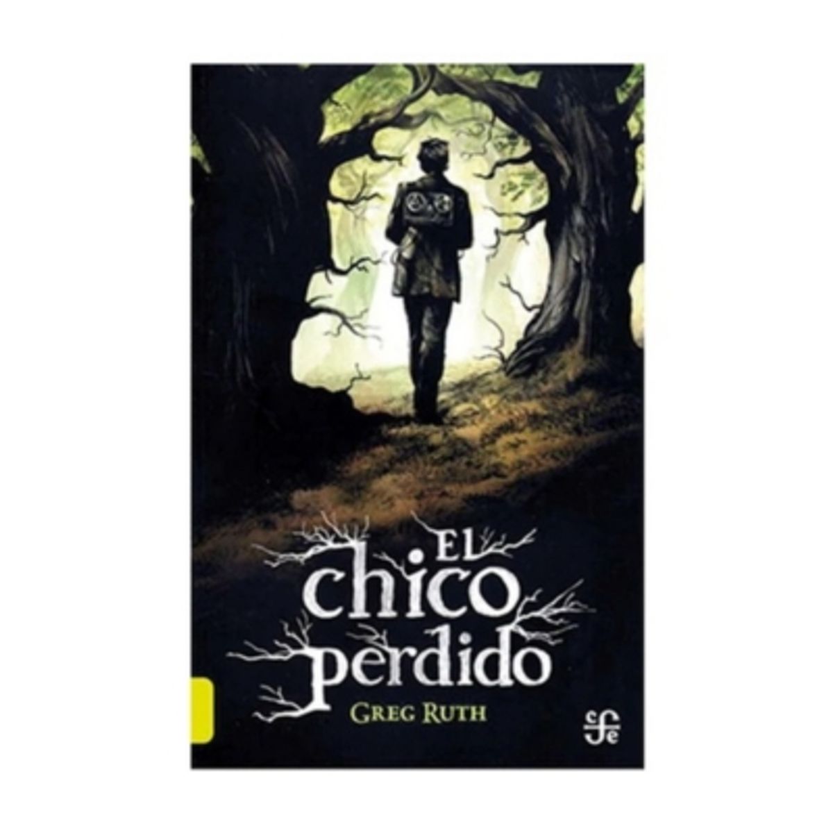 ANTARTICA LIBROS - El Chico Perdido - GREG, RUTH