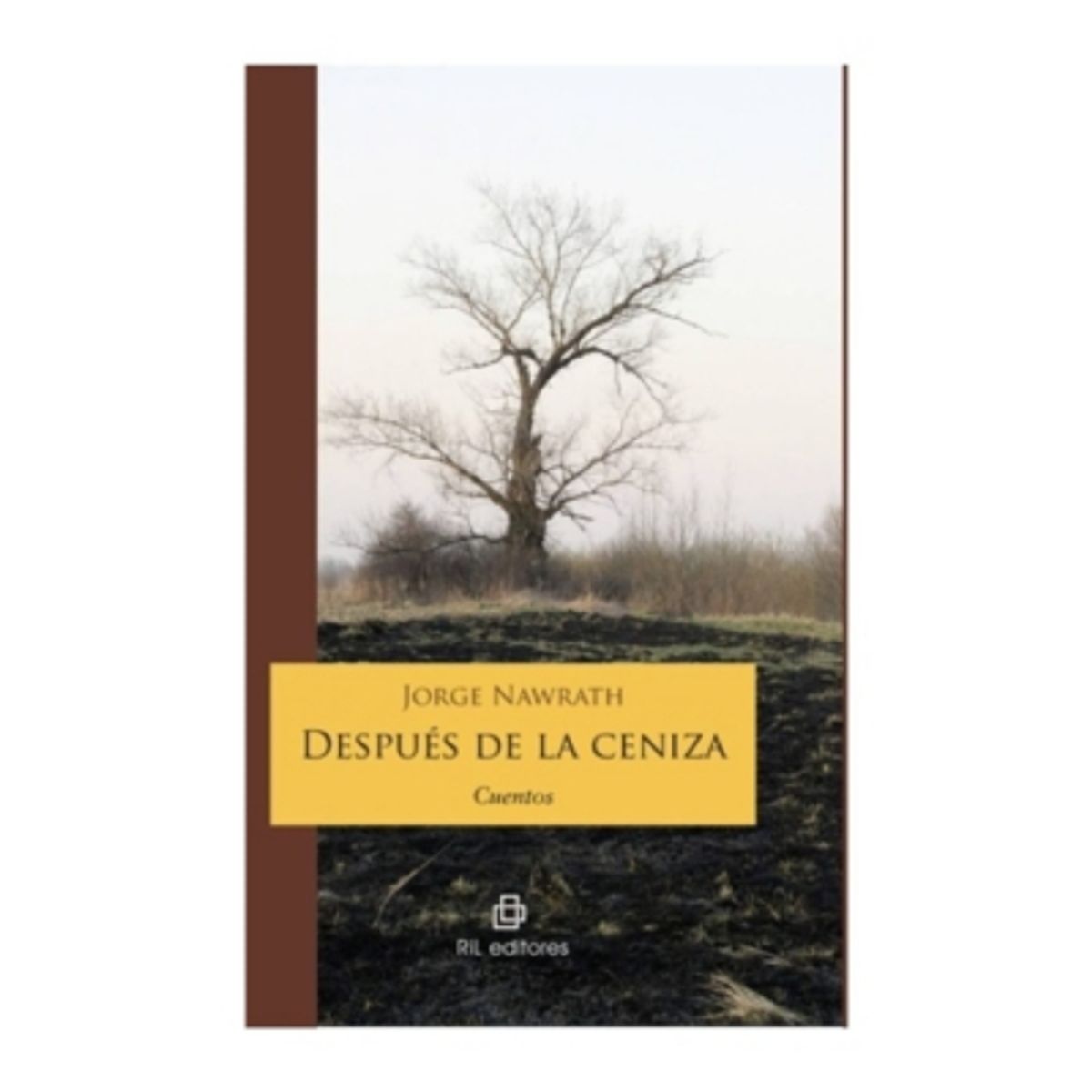 RIL EDITORES - Despues De La Ceniza