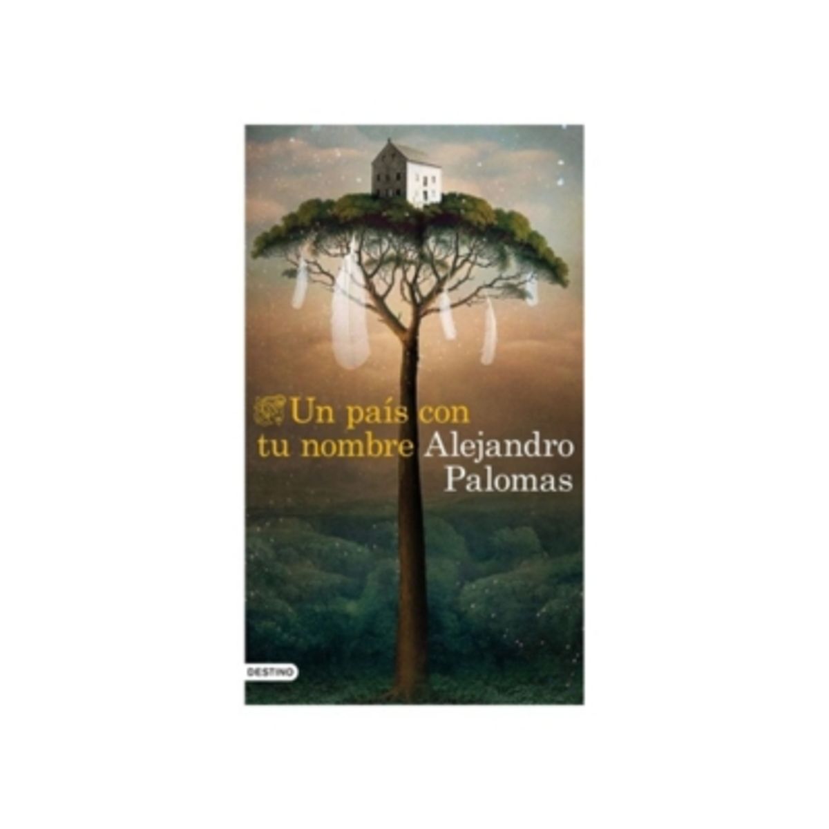 DESTINO - Un Pais Con Tu Nombre 9788423359882