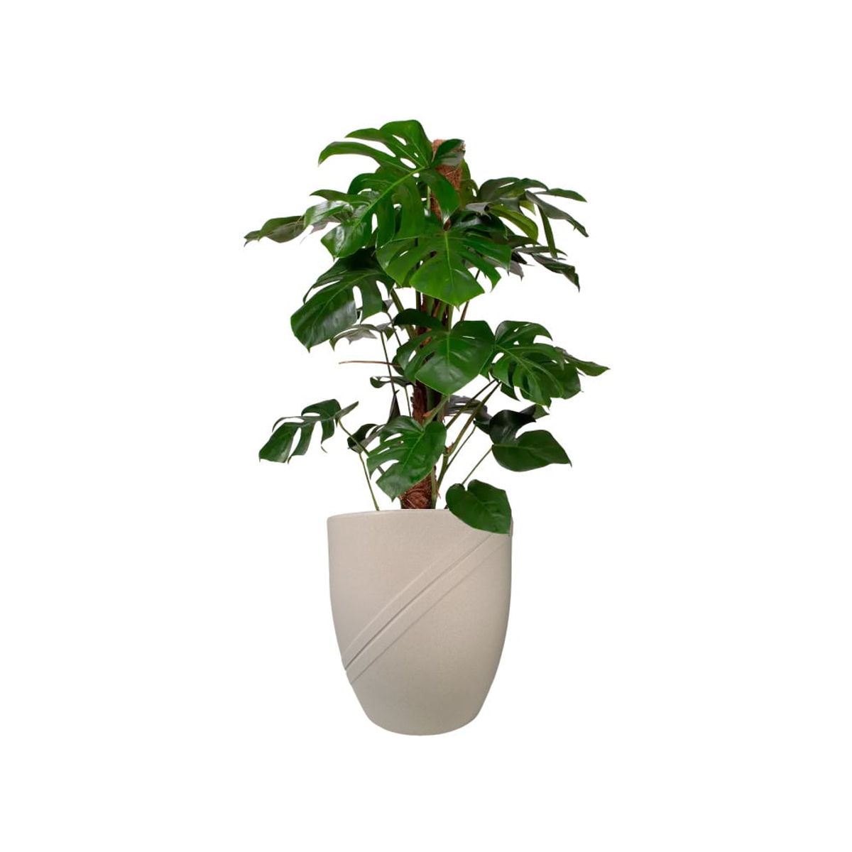 VERDY - Maceta Río De Janeiro Cemento 41x50cms Efecto Piedra