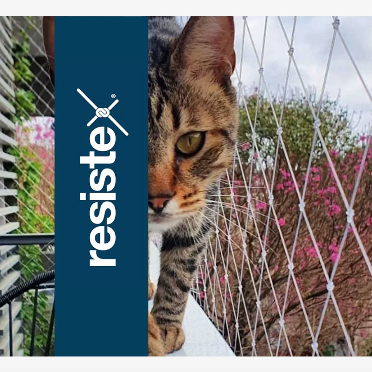 RESISTEX - Malla Seguridad Balcón 2Mts x 8Mts Grosor 08mm Transparente