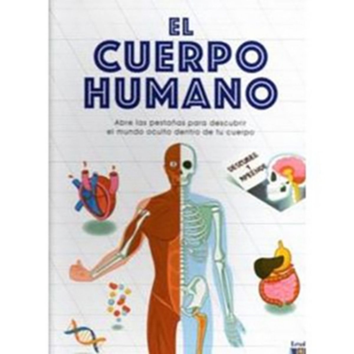 ESTUDIO DIDACTICO - El Cuerpo Humano