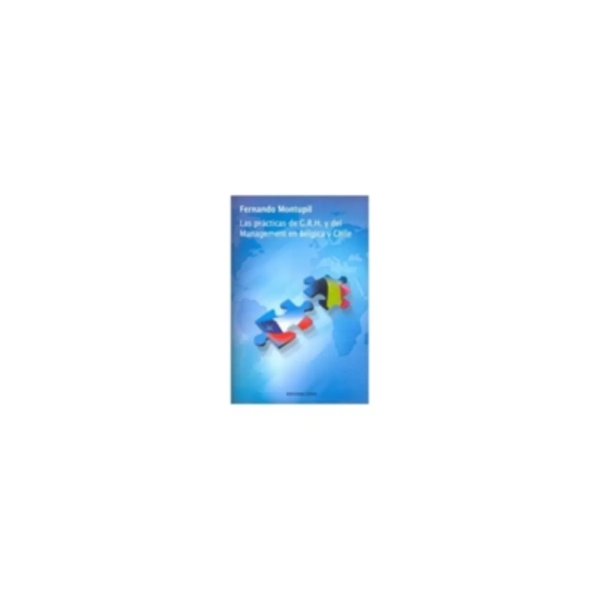 ANTARTICA LIBROS - Las Practicas De G.r.h. Y Del Management En Belgica Y Chile