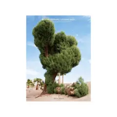 RM - Moving Forward, Looking Back (Td)