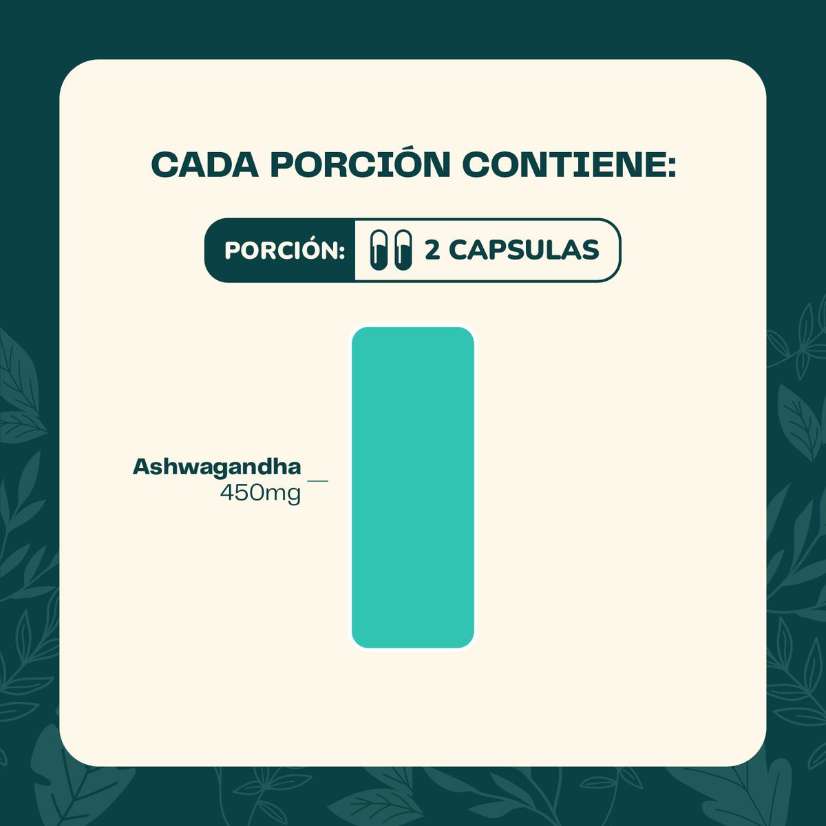 KARUNLIFE - Pack x2 Ashwagandha 120 capsulas Karun Life