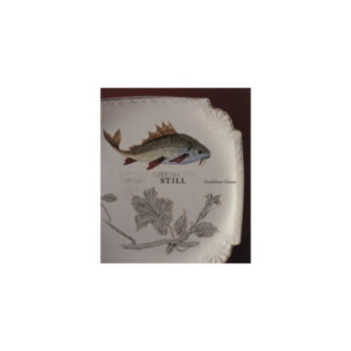 ANTARTICA LIBROS - Still