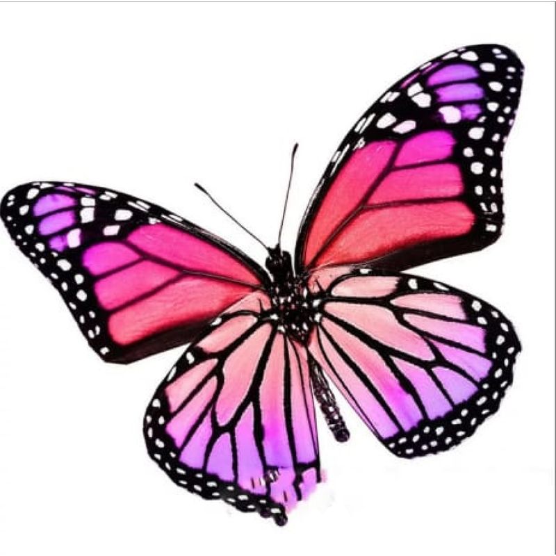 GENERICO - Kit Diamond Painting Pintura De Diamante - Mariposa Cod02